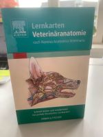 Lernkarten Veterinäranatomie Elsevier Leipzig - Leipzig, Zentrum-Nord Vorschau
