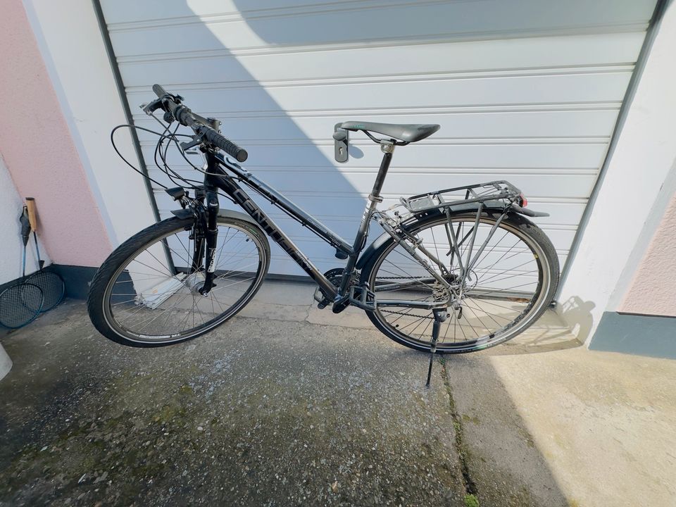 Trekking Fahrrad in Schifferstadt