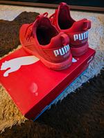 Puma Schuhe 41 Niedersachsen - Stuhr Vorschau