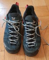 Wanderschuhe Alp Trainer 2 GTX von Salewa Gr. 41 Baden-Württemberg - Karlsruhe Vorschau