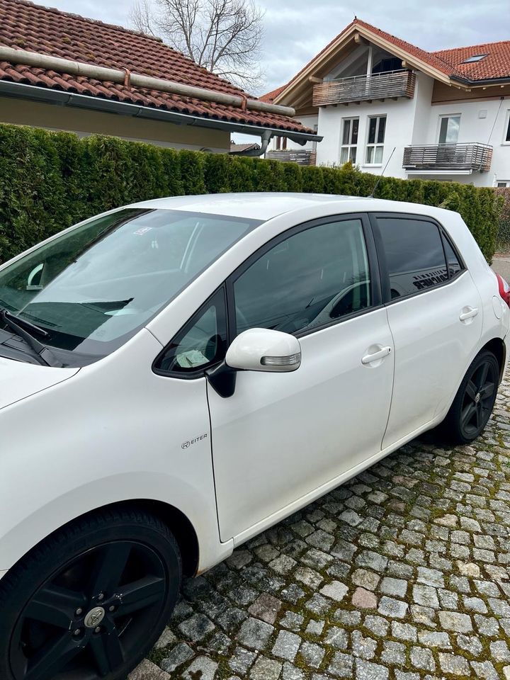 Toyota Auris in Grassau