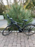 E-bike Herren Mittelmotor 80Nm Baden-Württemberg - Erlenbach Vorschau