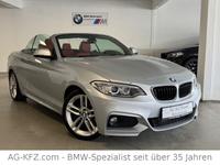 BMW 228i M Sport Paket Cabrio/DEUTSCH/1.Hand/Leder/ Hessen - Heusenstamm Vorschau