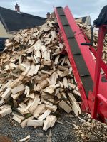 Frisch gespaltenes Holz Hartholz SRM Sachsen - Zwickau Vorschau