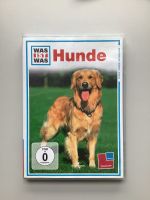 Hunde Was Ist Was DVD Nordrhein-Westfalen - Balve Vorschau