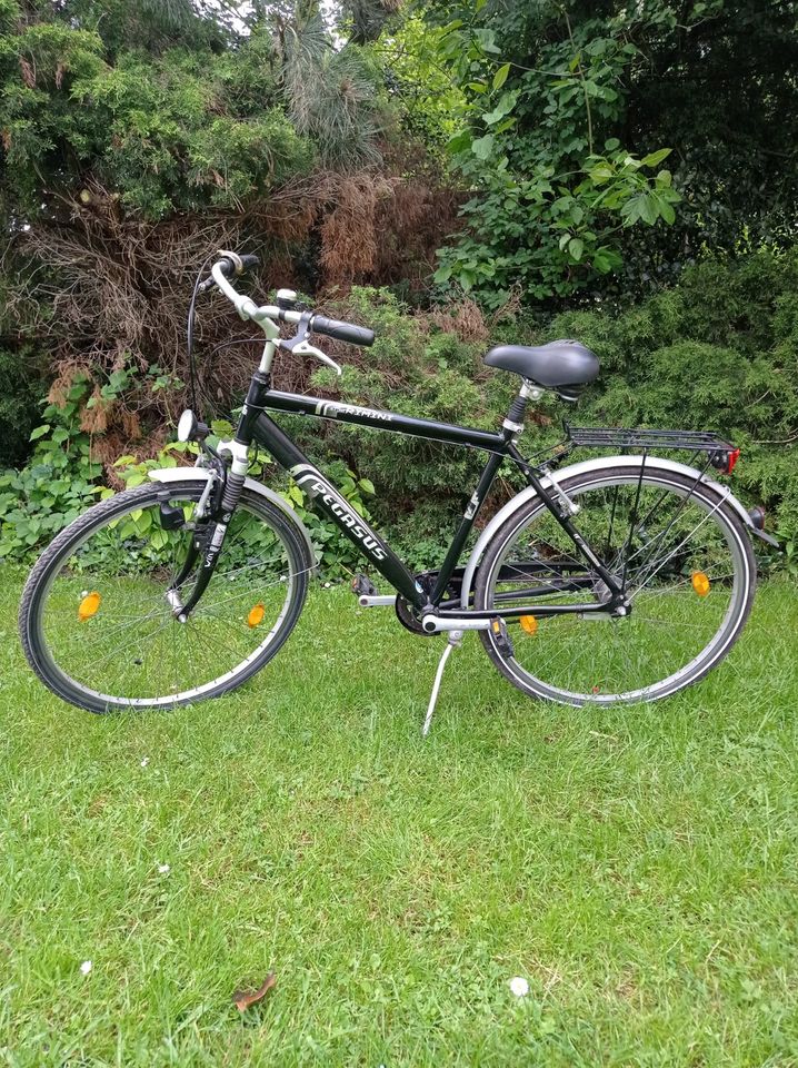 Herren Fahrrad 28 zoll Pegasus Rimini in Essen