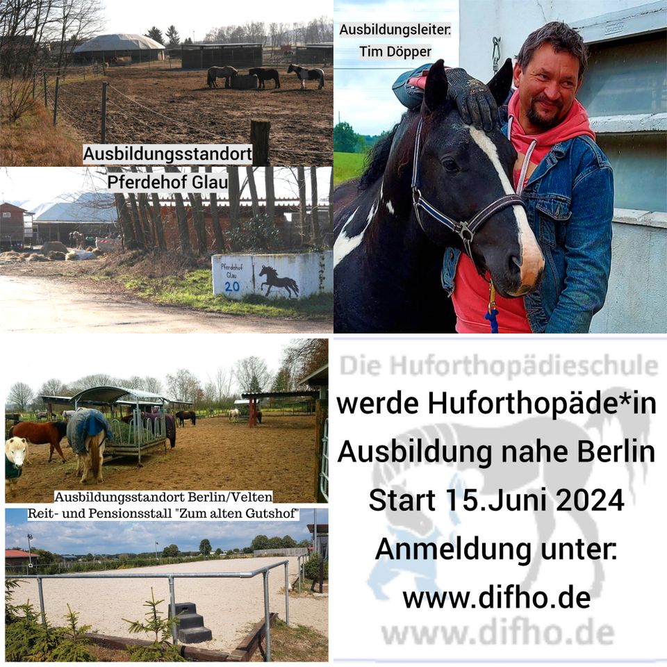 Hufe, Pferde, Hufbearbeitung, DIfHO, Huforthopäde in Heidelberg