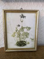 Wiesenblumen. Aquarellierte Sammlung Albrecht Dürer Dachbodenfund Baden-Württemberg - Welzheim Vorschau