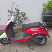 SYM - MIO-Roller 100 rot weiß Nordrhein-Westfalen - Paderborn Vorschau