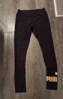 Sporthose von Puma Thüringen - Gera Vorschau