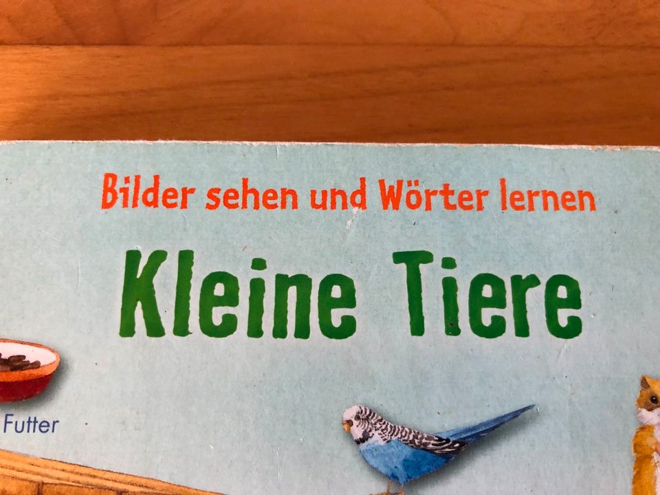 Kinderbuch Kleine Tiere Bilder sehen Wörter lernen Carlsen Verlag in Detmold