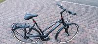 Damen Pegasus Fahrrad Bayern - Schernfeld Vorschau