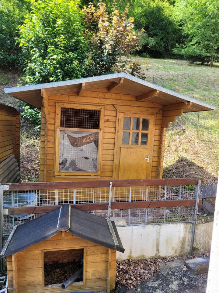 2 Hütten für den Garten in Hessen Philippsthal (Werra) Grundstück