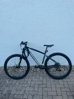 Rockrider Mountainbike ST 530 27,5Zoll Rheinland-Pfalz - Edenkoben Vorschau