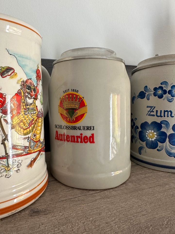 Bierkrüge Sammlung in Bergheim