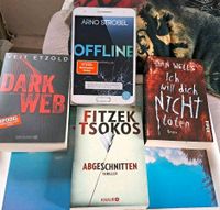 Thriller Bücher gemischt Niedersachsen - Alfeld (Leine) Vorschau