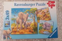 Kinder Puzzel Ravensburger Hamburg-Nord - Hamburg Langenhorn Vorschau