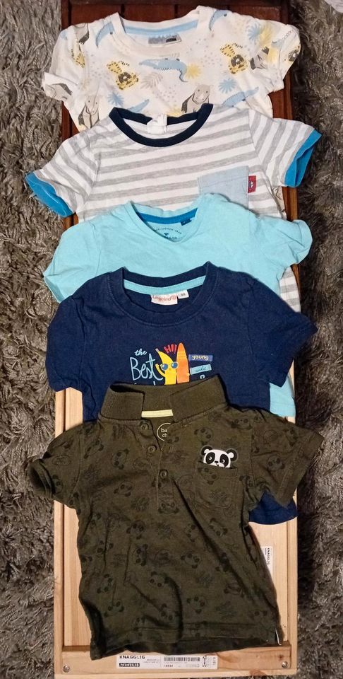 4er Set T-Shirts Shirts Kurzarm Gr. 80 in Freiberg