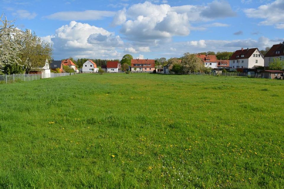 In Duingen wohnen auf einer Ebene! Baubeginn individuell möglich! in Duingen