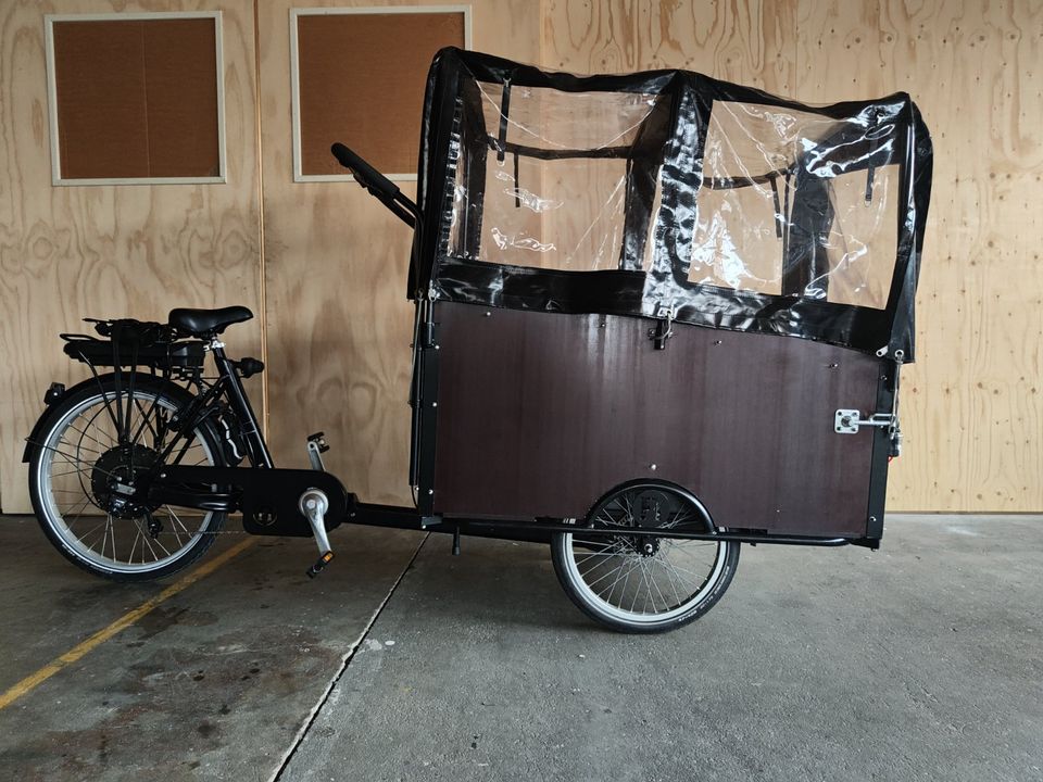 Elektro Rollstuhlfahrrad/Lastenrad Fietsfabriek Crystalyte motor in Straelen