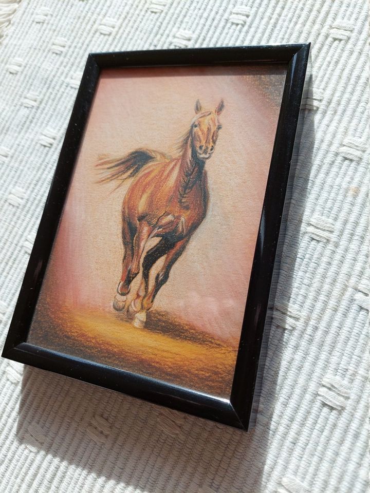 kl. Original Pastell Zeichnung Pferd Haflinger Tierportrait Kunst in Wehr