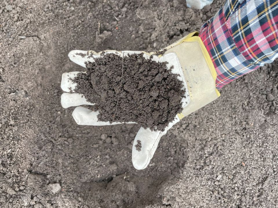 Gesiebter Mutterboden Muttererde Oberboden Erde Humus Sand in Schloß Holte-Stukenbrock