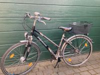 Pegasus Milano Alu 28 Zoll RH 45 Korb Garagenrad Nordrhein-Westfalen - Rheine Vorschau