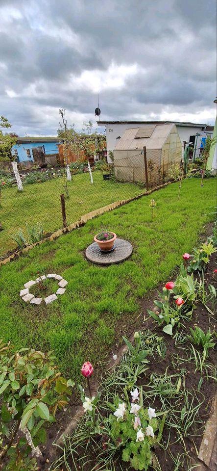 Garten in Gartensparte Vogelsang in Stralsund