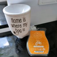 Scentsy Miniduftlampe "Home Is Where My Dog Is " Bayern - Lonnerstadt Vorschau