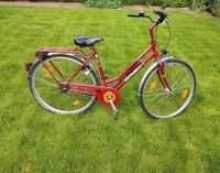 Kettler Alurad Fahrrad 28 Zoll Damenrad Rad Nordrhein-Westfalen - Nottuln Vorschau