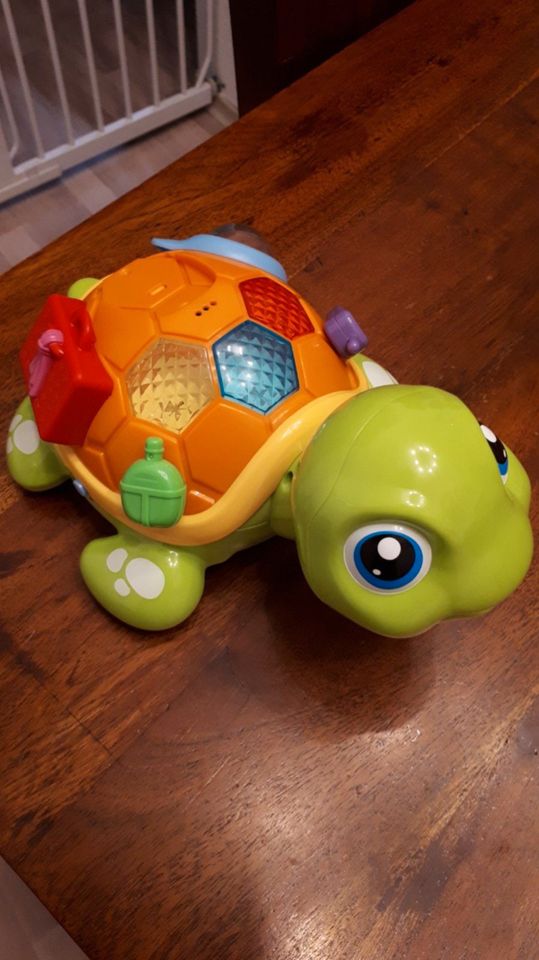 Baby Spielzeug Schildkröte in Rheinland-Pfalz - Neuwied | Baby Spielzeug  gebraucht kaufen | eBay Kleinanzeigen ist jetzt Kleinanzeigen
