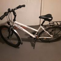 Zündapp Trekking Fahrrad Damen Essen - Altenessen Vorschau