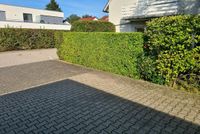 Gartenarbeit -> Garten & Landschaftsbau Bielefeld - Dornberg Vorschau