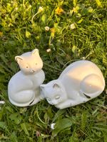 Weiße Porzellan Katzen Bayern - Landau a d Isar Vorschau
