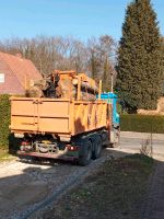 Krancontainer Holztransport Holzkran Abrollcontainer Schleswig-Holstein - Reinfeld Vorschau