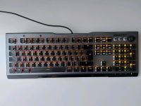 Tastatur Roccat vulcan 100 aimo rgb Sachsen-Anhalt - Dessau-Roßlau Vorschau