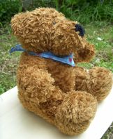 Teddybär "Philipp" sitzend mit blauem Tuch NICI RAR Frankfurt am Main - Niederursel Vorschau