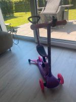 Delta Sport  4-in-1 Roller Scooter Tretroller Niedersachsen - Seevetal Vorschau