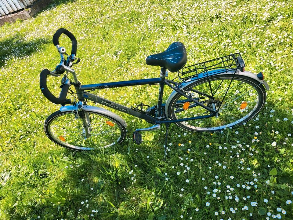 Herren Fahrrad Trekking in Kehl