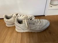 Reebok Schuhe Rheinland-Pfalz - Ludwigshafen Vorschau