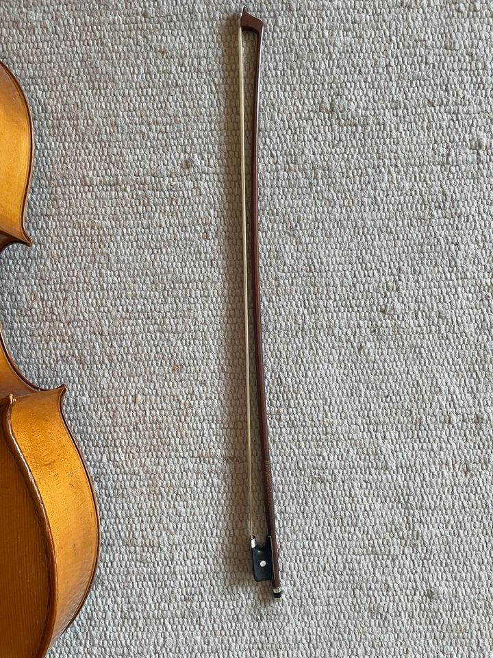 Cello 4/4 C.I.L. Reghin in Tübingen