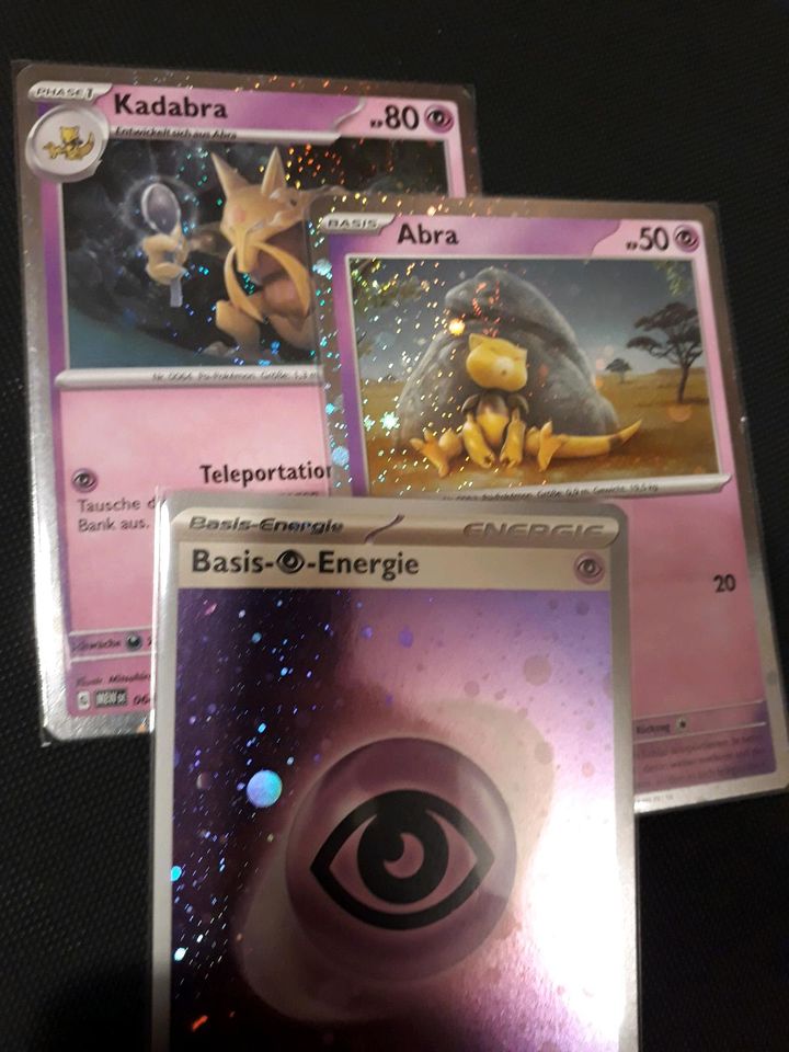 Pokemon Karten Sammlung, TCG, Sammelkarten in Otter