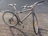 Fahrrad Marke Giant Bonn - Dransdorf Vorschau