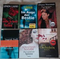 9 Romane / Thriller / Bücher Rheinland-Pfalz - Bellheim Vorschau