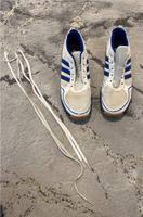 Adidas Sportschuhe Münster (Westfalen) - Hiltrup Vorschau