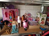 Barbie Dreamtopia Elsa Pferd Roller Thüringen - Erfurt Vorschau