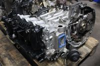 Y610 Mazda 3 BK 1,6TDCI 1,6 TDCI 109PS 80KW Motor Triebwerk Engi Nordrhein-Westfalen - Gelsenkirchen Vorschau