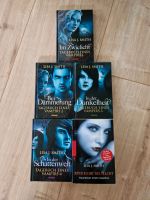 Buch zur Serie Vampire Diaries 5er Set Hessen - Wohratal Vorschau