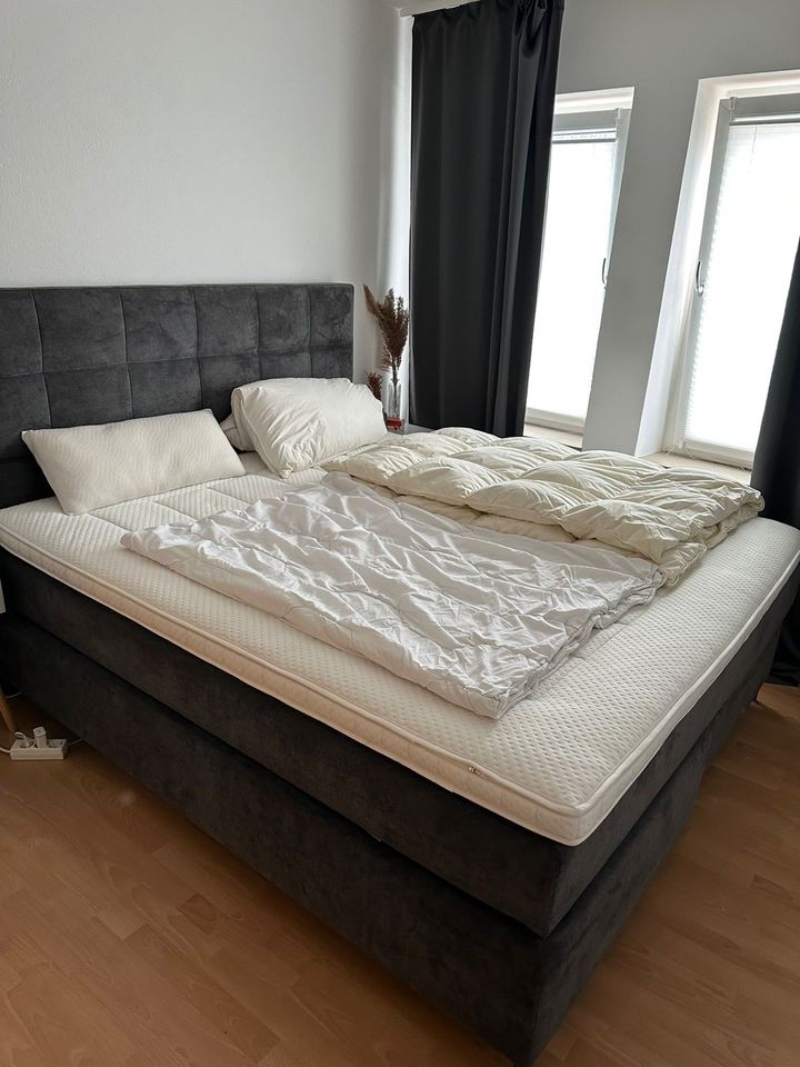 Sehr gutes 180x200 Boxspringbett von Mozart in Paderborn