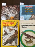 Greifvögel und Eulen Nordrhein-Westfalen - Vettweiß Vorschau